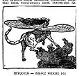 Нажмите на изображение для увеличения.

Название:	Dokonana tajemnica 190.jpg
Просмотров:	57
Размер:	141.6 Кб
ID:	10125980