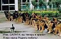 Нажмите на изображение для увеличения.

Название:	funny_cats_46.jpg
Просмотров:	7
Размер:	116.9 Кб
ID:	10126560