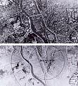 Нажмите на изображение для увеличения.

Название:	Nagasaki_Before_and_after.jpg
Просмотров:	13
Размер:	32.3 Кб
ID:	10127496