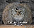 Нажмите на изображение для увеличения.

Название:	1316800623_-(www.votrube.ru)1.jpg
Просмотров:	3
Размер:	39.8 Кб
ID:	10127514