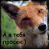 Нажмите на изображение для увеличения.

Название:	144522739.gif
Просмотров:	31
Размер:	10.1 Кб
ID:	10132206