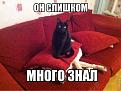 Нажмите на изображение для увеличения.

Название:	dobryi_vecher.jpg
Просмотров:	7
Размер:	34.2 Кб
ID:	10136802