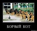 Нажмите на изображение для увеличения.

Название:	7e2ix4ks2mcp.jpg
Просмотров:	10
Размер:	89.0 Кб
ID:	10136965