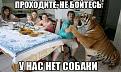 Нажмите на изображение для увеличения.

Название:	1426850146_kartinki-47-2699319995.jpg
Просмотров:	10
Размер:	38.8 Кб
ID:	10138138