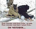 Нажмите на изображение для увеличения.

Название:	человек или зверь 2.jpg
Просмотров:	13
Размер:	269.4 Кб
ID:	10144289