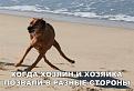 Нажмите на изображение для увеличения.

Название:	35058171_450175458760327_3976678290579521536_o.jpg
Просмотров:	29
Размер:	124.9 Кб
ID:	10145335