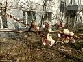 Нажмите на изображение для увеличения.

Название:	IMG_20200409_152756.jpg
Просмотров:	9
Размер:	208.7 Кб
ID:	10152018