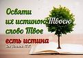 Нажмите на изображение для увеличения.

Название:	image.jpg
Просмотров:	7
Размер:	51.8 Кб
ID:	10152035