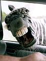 Нажмите на изображение для увеличения.

Название:	zebra.jpg
Просмотров:	124
Размер:	44.0 Кб
ID:	10162513