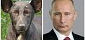 Нажмите на изображение для увеличения.

Название:	IMG_5693.jpg
Просмотров:	2
Размер:	23.3 Кб
ID:	10741519