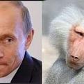 Нажмите на изображение для увеличения.

Название:	IMG_9847.jpg
Просмотров:	2
Размер:	8.5 Кб
ID:	10799753