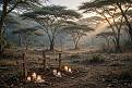 Нажмите на изображение для увеличения.

Название:	kenya-mackenzie-verdict.jpg
Просмотров:	10
Размер:	188.8 Кб
ID:	10831708